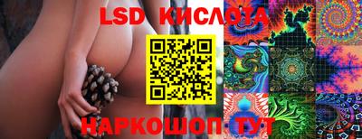спайс Пугачёв