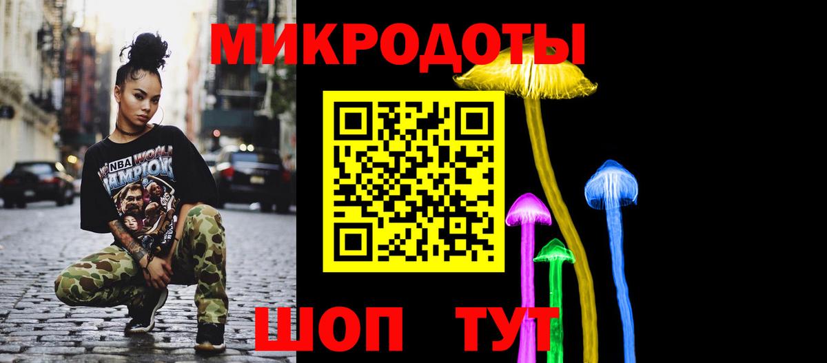 Галлюциногенные грибы Psilocybe Химки